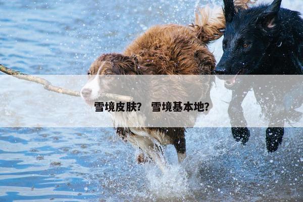 雪境皮肤？ 雪境基本地？