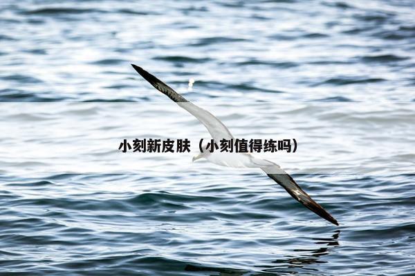 小刻新皮肤（小刻值得练吗）