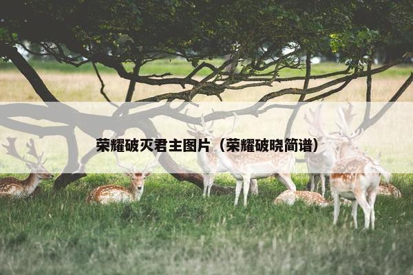 荣耀破灭君主图片（荣耀破晓简谱）