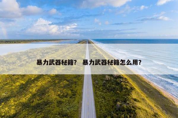 暴力武器秘籍？ 暴力武器秘籍怎么用？