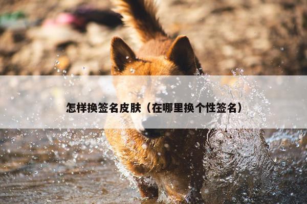 怎样换签名皮肤（在哪里换个性签名）