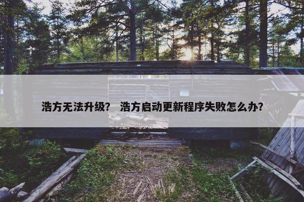 浩方无法升级？ 浩方启动更新程序失败怎么办？