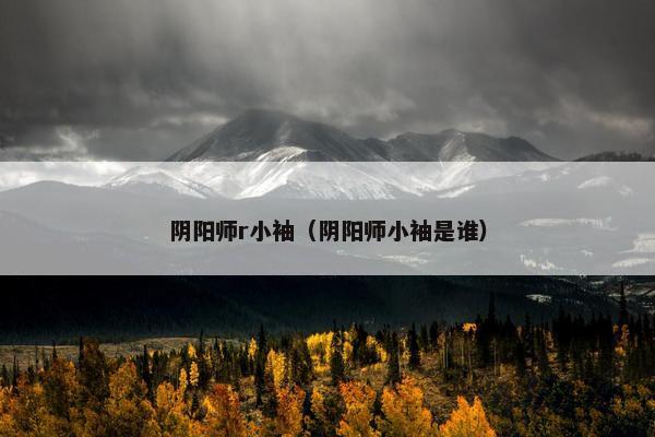 阴阳师r小袖（阴阳师小袖是谁）