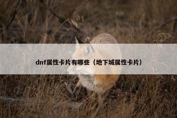 dnf属性卡片有哪些（地下城属性卡片）