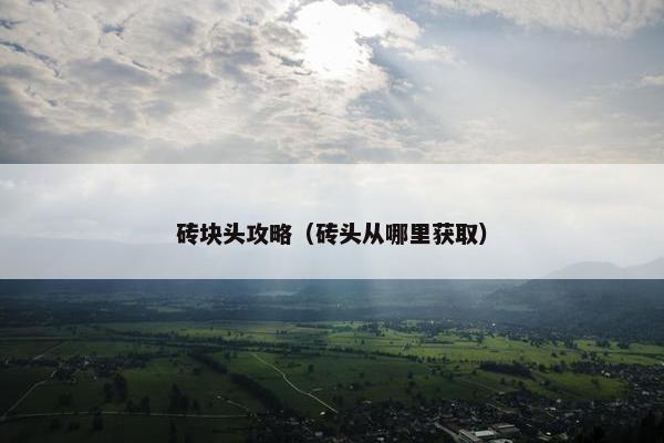 砖块头攻略（砖头从哪里获取）