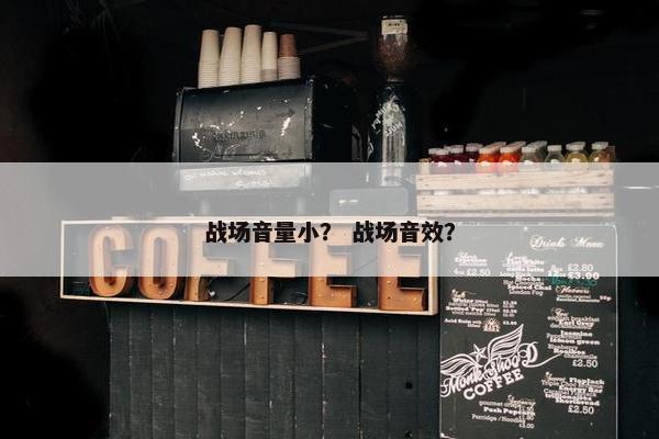 战场音量小？ 战场音效？