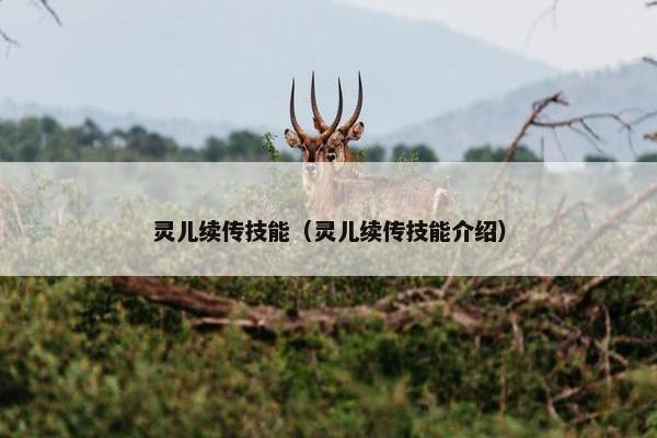 灵儿续传技能（灵儿续传技能介绍）