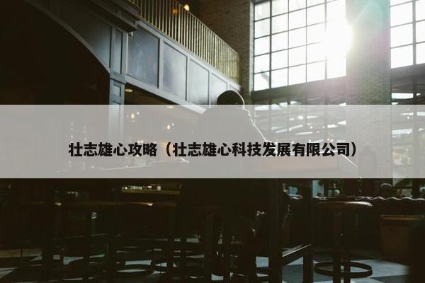 壮志雄心攻略（壮志雄心科技发展有限公司）
