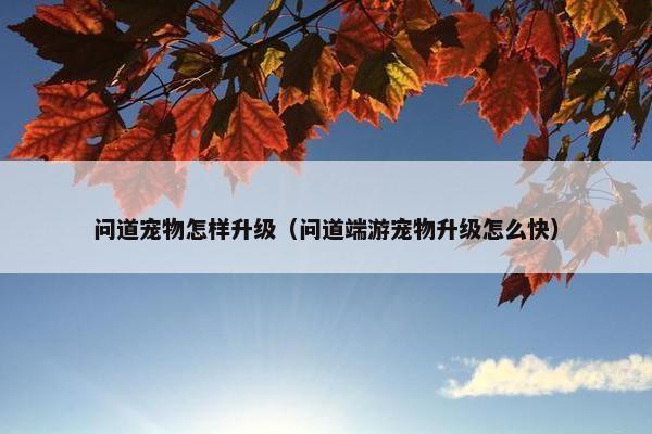 问道宠物怎样升级（问道端游宠物升级怎么快）