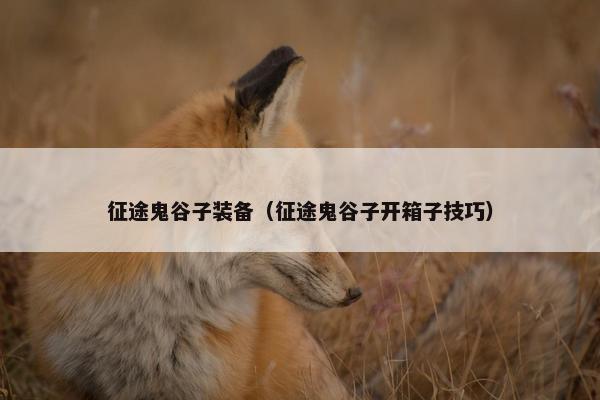 征途鬼谷子装备（征途鬼谷子开箱子技巧）