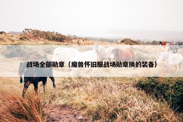 战场全部勋章（魔兽怀旧服战场勋章换的装备）
