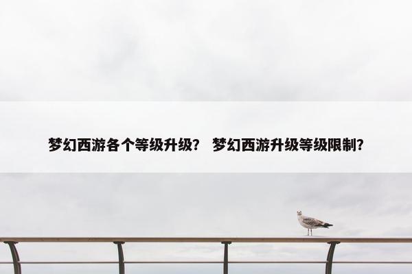 梦幻西游各个等级升级？ 梦幻西游升级等级限制？