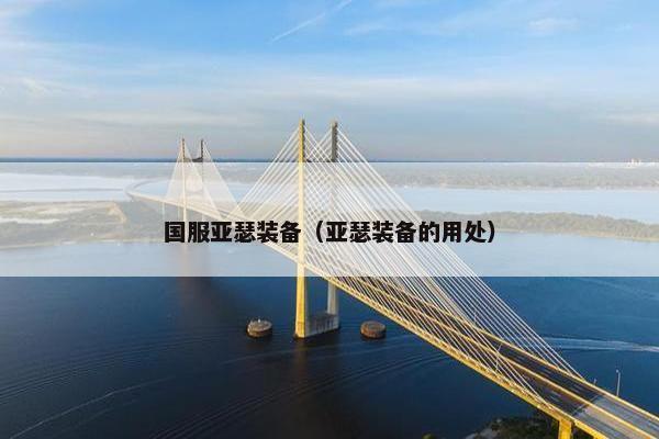 国服亚瑟装备（亚瑟装备的用处）