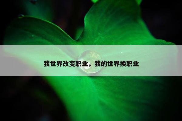 我世界改变职业，我的世界换职业