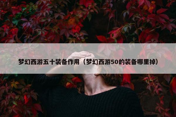 梦幻西游五十装备作用（梦幻西游50的装备哪里掉）