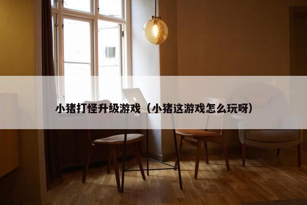 小猪打怪升级游戏（小猪这游戏怎么玩呀）