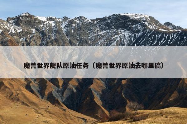魔兽世界舰队原油任务（魔兽世界原油去哪里搞）