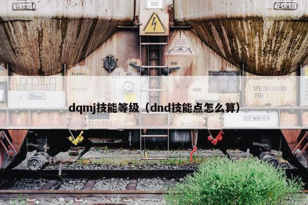 dqmj技能等级（dnd技能点怎么算）