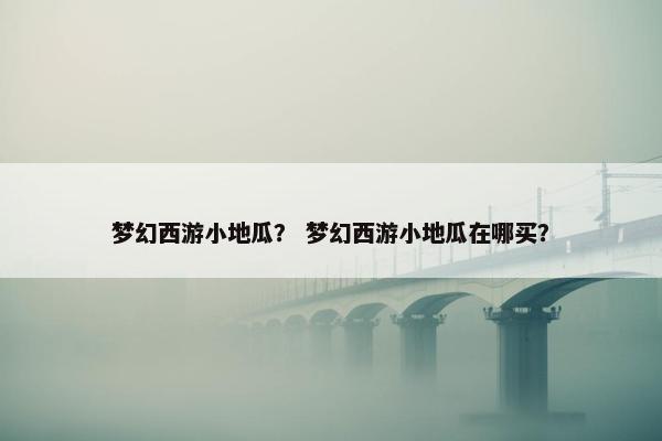 梦幻西游小地瓜？ 梦幻西游小地瓜在哪买？