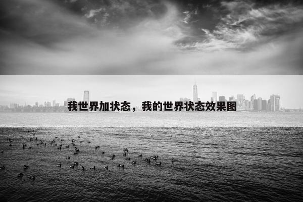 我世界加状态，我的世界状态效果图