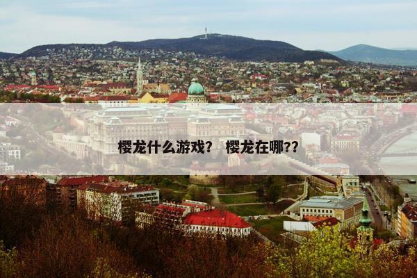 樱龙什么游戏？ 樱龙在哪?？