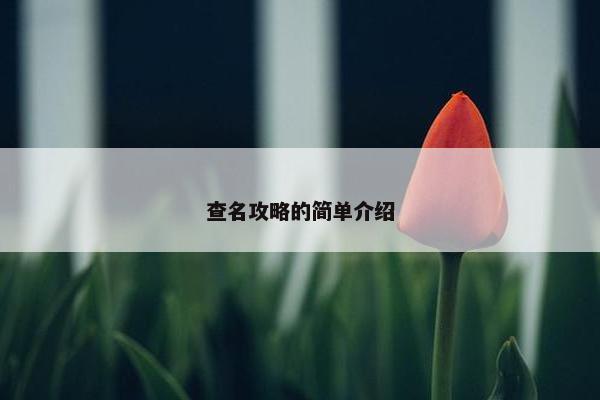 查名攻略的简单介绍