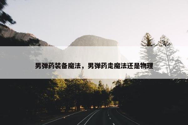 男弹药装备魔法，男弹药走魔法还是物理