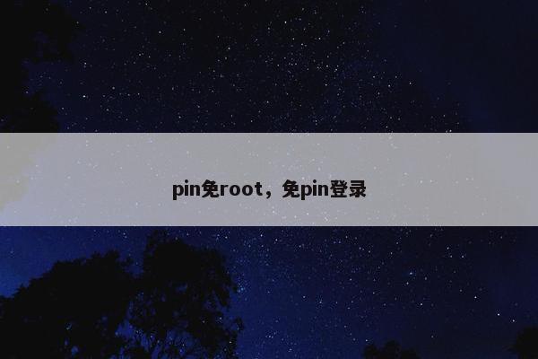 pin免root，免pin登录