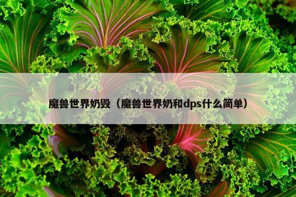 魔兽世界奶毁（魔兽世界奶和dps什么简单）