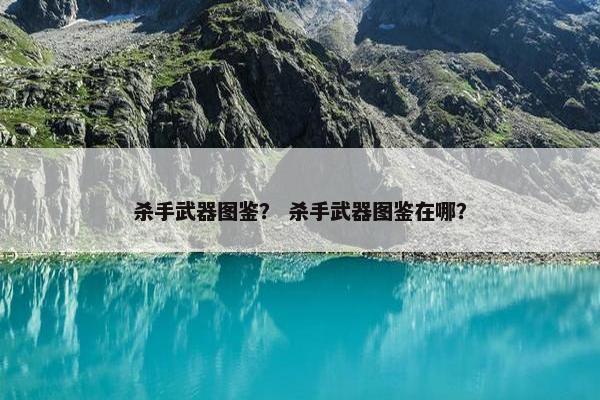 杀手武器图鉴？ 杀手武器图鉴在哪？