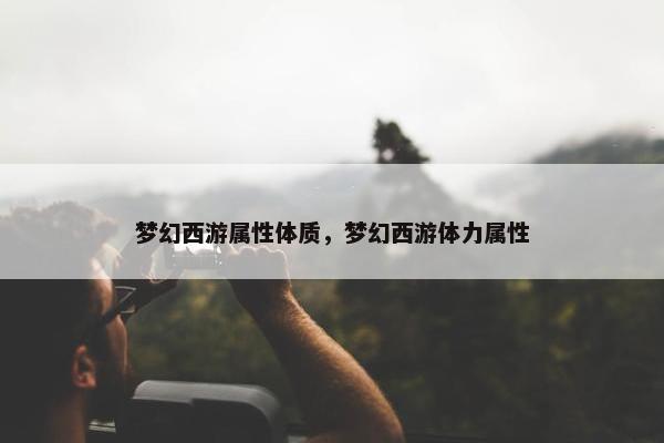梦幻西游属性体质，梦幻西游体力属性