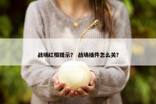 战场红框提示？ 战场插件怎么关？