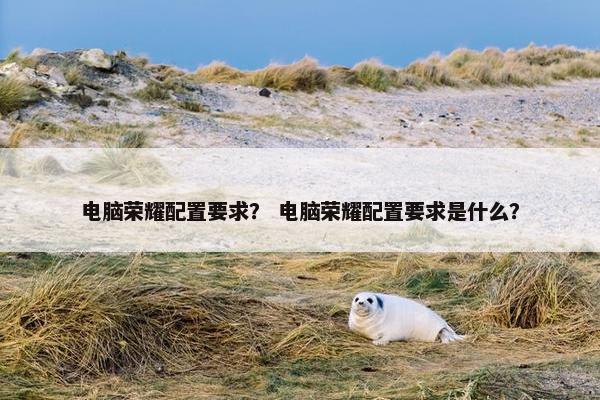 电脑荣耀配置要求？ 电脑荣耀配置要求是什么？