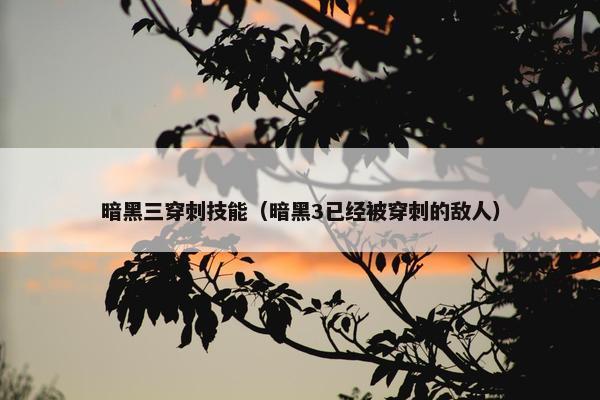 暗黑三穿刺技能（暗黑3已经被穿刺的敌人）