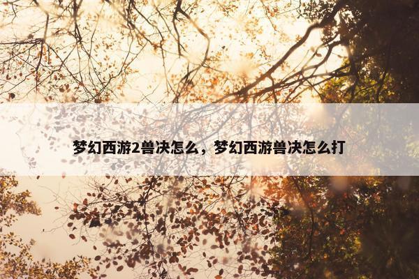 梦幻西游2兽决怎么，梦幻西游兽决怎么打
