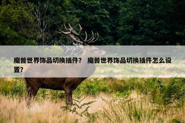 魔兽世界饰品切换插件？ 魔兽世界饰品切换插件怎么设置？