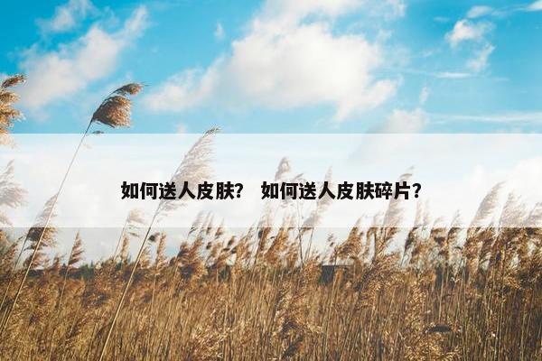 如何送人皮肤？ 如何送人皮肤碎片？