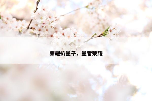 荣耀抗墨子，墨者荣耀
