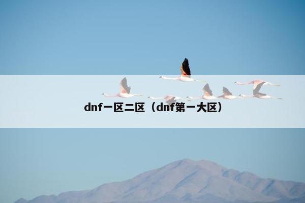 dnf一区二区（dnf第一大区）