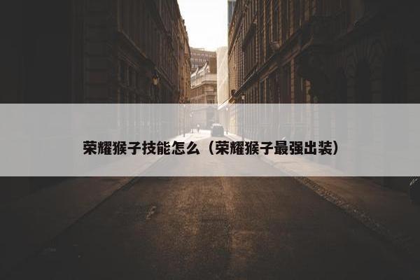 荣耀猴子技能怎么（荣耀猴子最强出装）