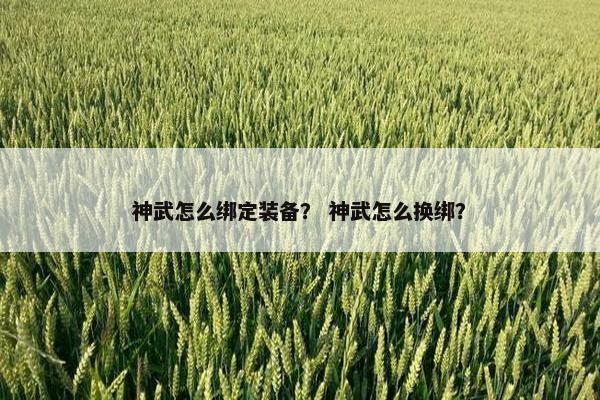 神武怎么绑定装备？ 神武怎么换绑？