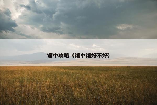 馆中攻略（馆中馆好不好）
