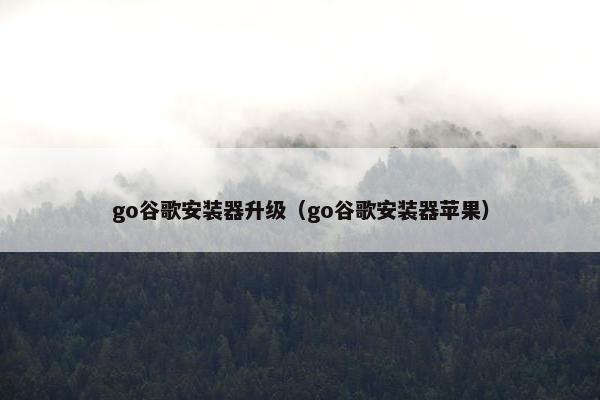 go谷歌安装器升级（go谷歌安装器苹果）