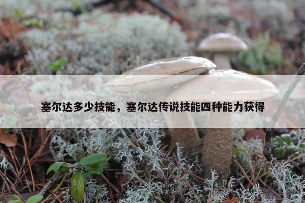 塞尔达多少技能，塞尔达传说技能四种能力获得