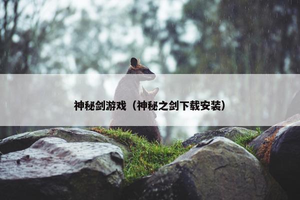 神秘剑游戏（神秘之剑下载安装）