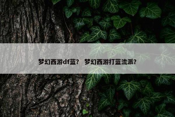 梦幻西游df蓝？ 梦幻西游打蓝流派？