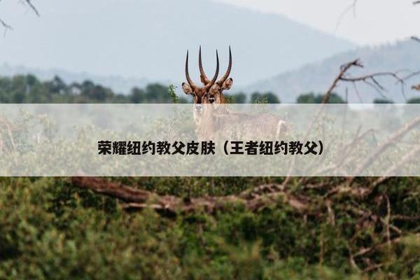 荣耀纽约教父皮肤（王者纽约教父）