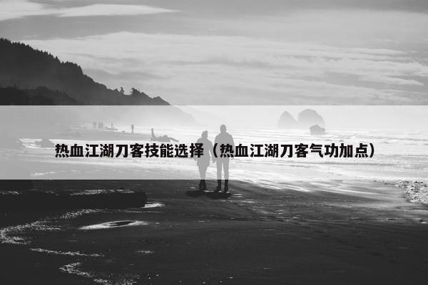 热血江湖刀客技能选择（热血江湖刀客气功加点）