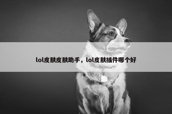 lol皮肤皮肤助手，lol皮肤插件哪个好