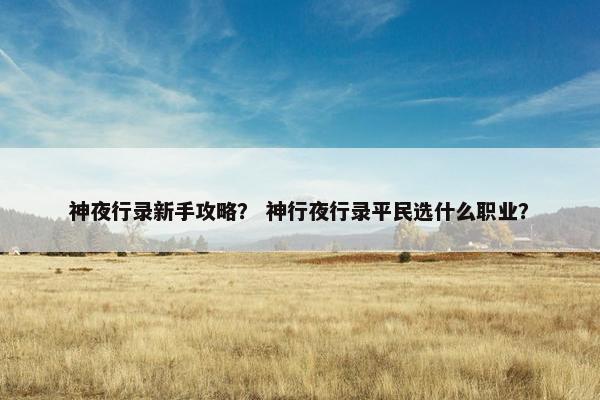 神夜行录新手攻略？ 神行夜行录平民选什么职业？
